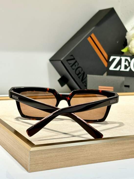 Picture of Zegna Sunglasses _SKUfw69867913fw
